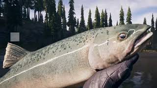 Far Cry 5 ps4 CHASSE SANS MICRO