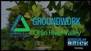 Groundwork Ohio River Valley adds more trees in Cincinnati