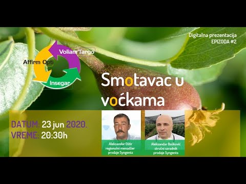 Smotavci u voćkama - kako ih se rešiti?