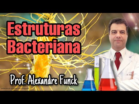 Vídeo: O que significa célula bacteriana?