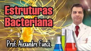 ESTRUTURAS DA CÉLULA BACTERIANA - PROF. ALEXANDRE FUNCK (VÍDEO ATUALIZADO)