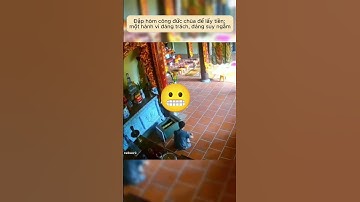 Đập hòm công đức chùa để lấy tiền: một hành vi đáng trách, đáng suy ngẫm