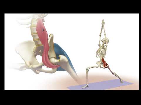 Video: Diepe Spieren In Het Beendiagram - Lichaamskaarten