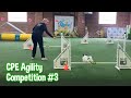 Competing In Our Third CPE Dog Agility Trial | Jackpot Standard Wildcard and Colors
