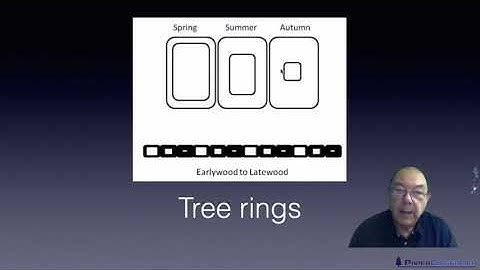 Level 2 Papermaking - Fibres used in papermaking