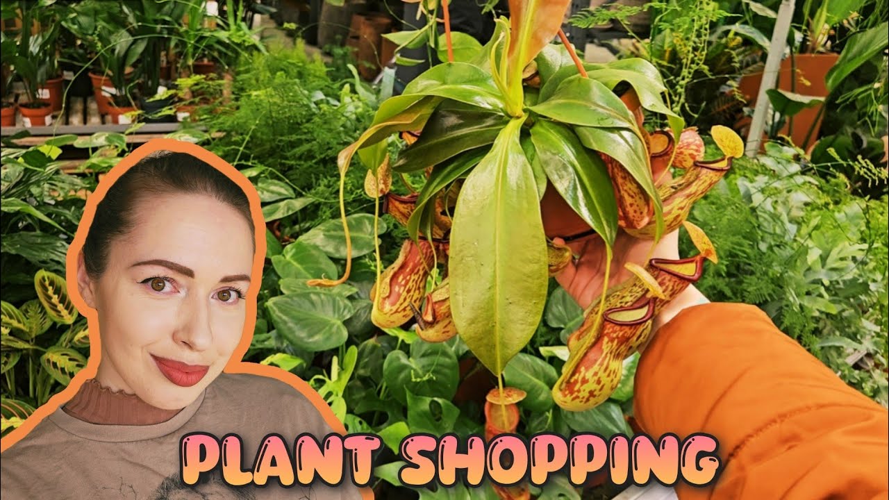 Увлекательные находки во время шопинга комнатных растений + подборка покупок 🩷🌵