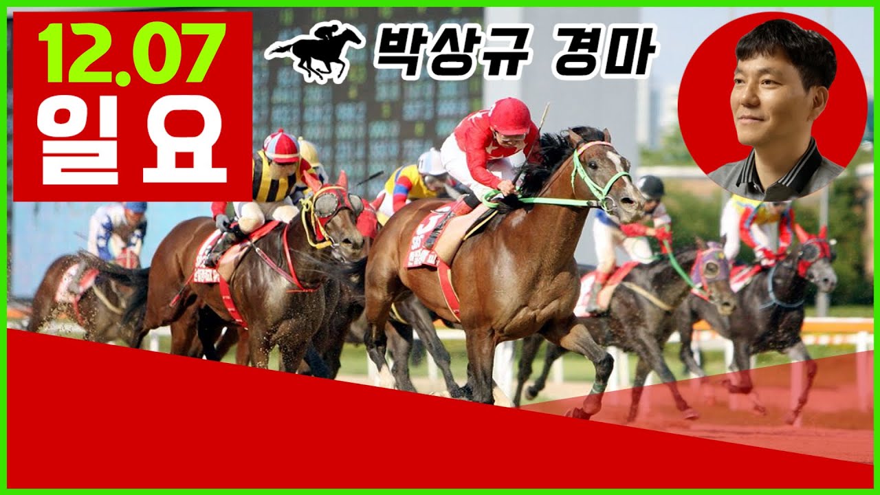 12월7일 일요 경마, 방송 보신 분들 좋은 결과 있기를 기원합니다.