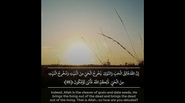 إن الله فالق الحب والنوى - القارئ ناصر القطامي