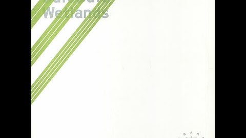 BufoBufo - Acid Canyon (2023)