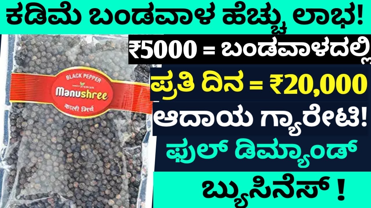 Small Investment Business Kannada Kannada Business Black Pepper Small Investment Business Kannada Kannada Business Black Pepper