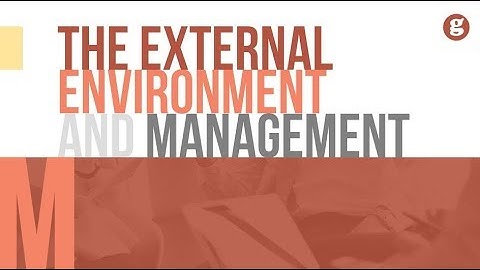The External Environment and Management