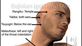 PRESSURE POINTS OF THE NECK (New)