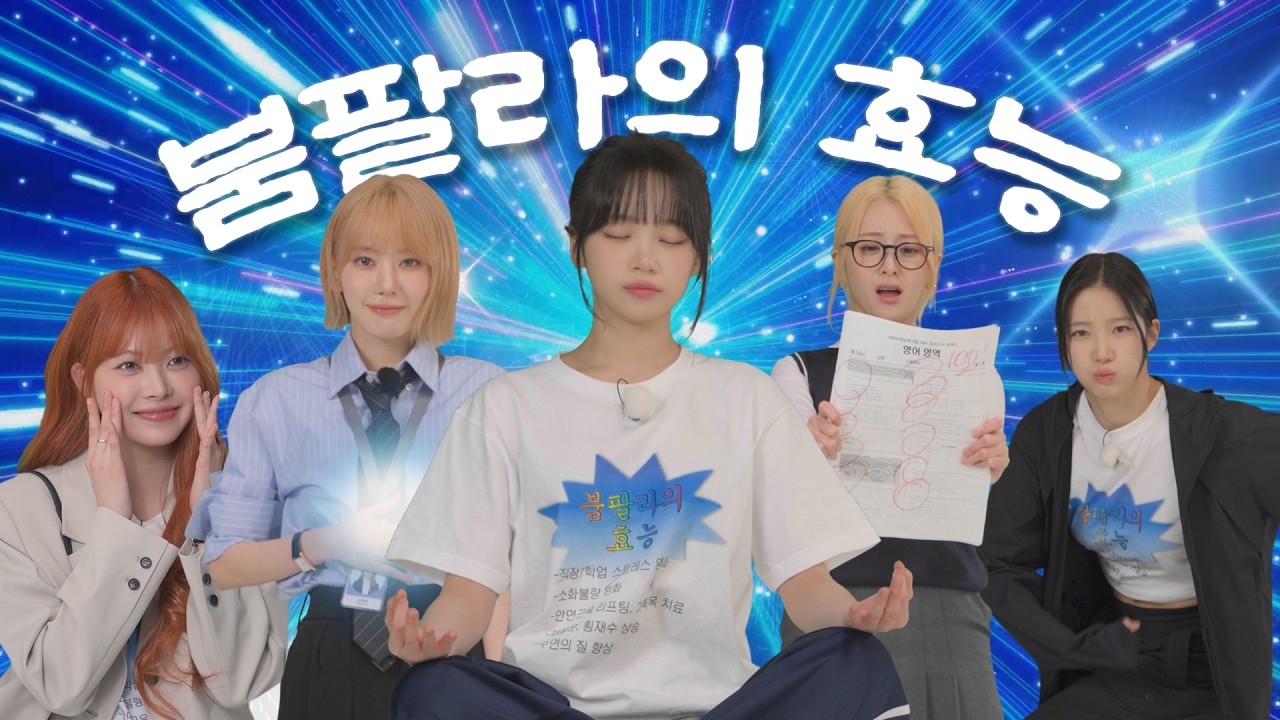 붐팔라의 효능을 믿으십니까?