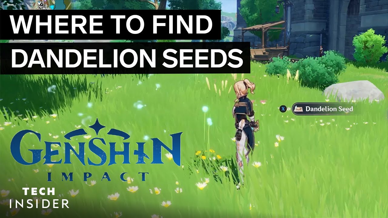 Where To Find Dandelion Seeds In Genshin Impact - Tech Insider