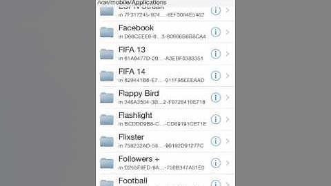 Flappy Bird hack no ads iFile