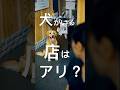 【スカッと】犬がいる居酒屋で暴れた男の末路#shorts
