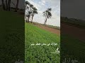جوارك في جنان الخلد حلم جوارك في جنان الخلد حلم