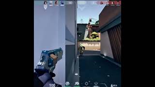 The Guardian Is Kinda Op No Lie