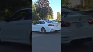 M4 GTS