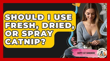 Should I Use Fresh, Dried, Or Spray Catnip? - Happy Cat Handbook