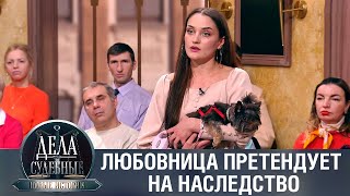 видео: Дела судебные с Еленой Кутьиной. Новые истории. Эфир от 05.02.24 картинка: Дела судебные с Еленой Кутьиной. Новые истории. Эфир от 05.02.24