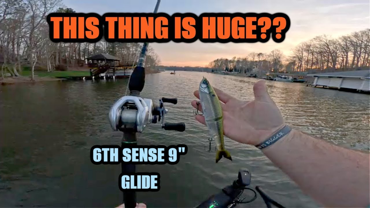 6th Sense 9″ glide bait works!