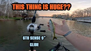 6th Sense 9" glide bait works!