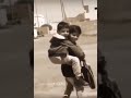 الأخ عزوه و سند 
