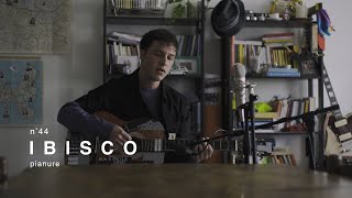 Video thumbnail of "Ibisco - Pianure / Live Session in Tuci"