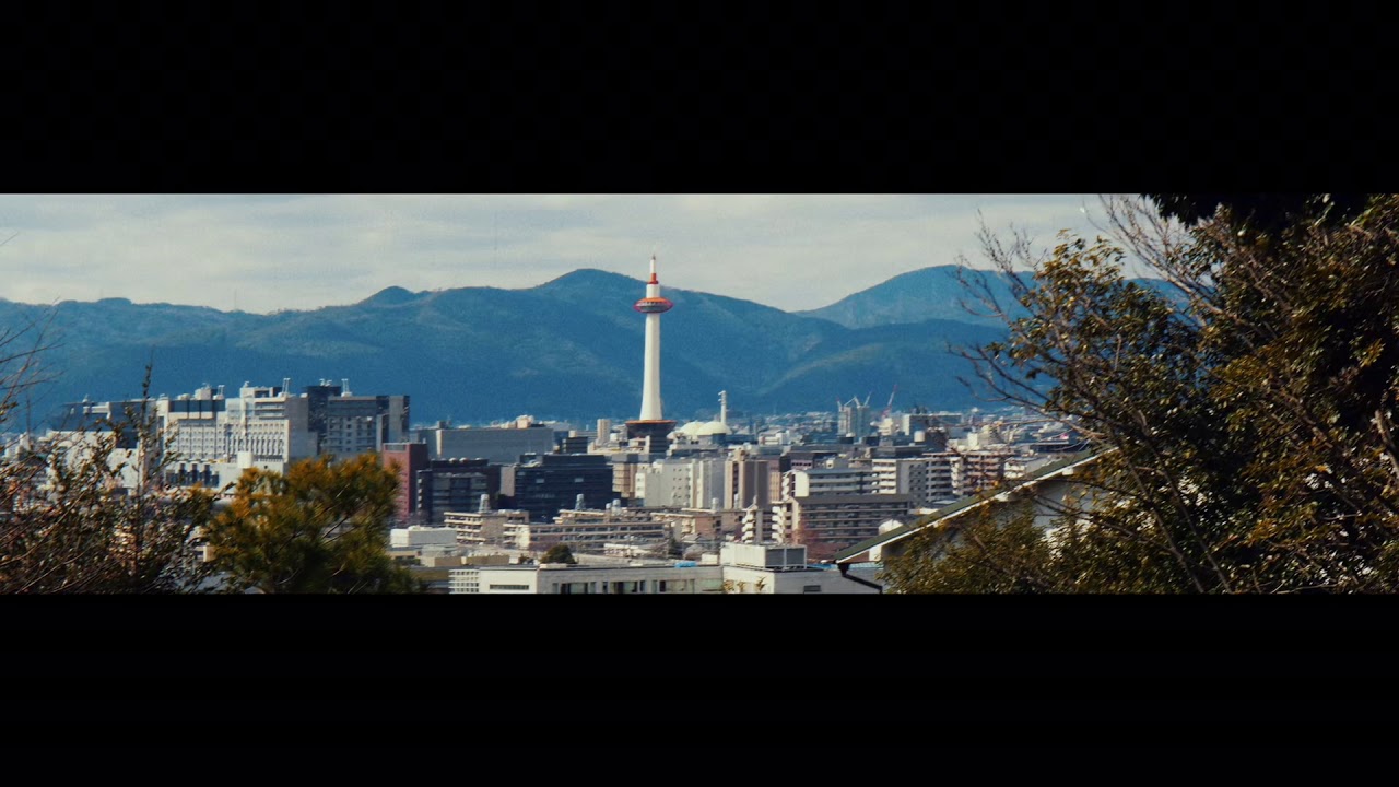 Winter Flowers in Kyoto Japan ISCO S8 Anamorphic GH5s