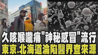 不是新冠疫情! 日本福岡傳'神秘感冒' 患者久咳喉嚨痛 醫界急查病毒來源! 人類間質肺炎病毒引起? 疾管署致函日方.旅遊警示不提升｜【話題懶人包】｜TVBS新聞 @TVBSNEWS01