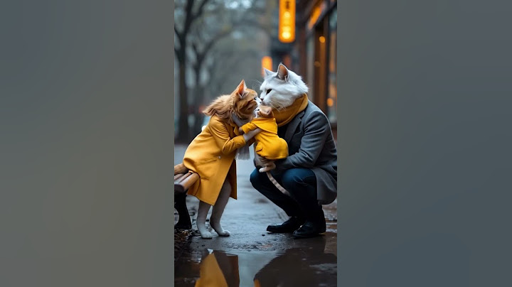 Found in the Leaves | A Stray Kitten's Journey to Family #cutekitty #cute #cat #funnycats