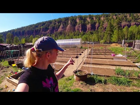 Огородные хлопоты, открыли сезон 2020