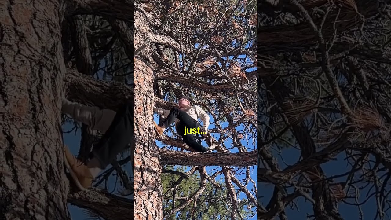 Tree Climbing Tip Stayflexy