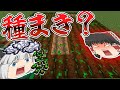 【ゆっくり実況】何となく七秒間実況マイクラpart124～種まき～