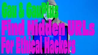 Gau Find Hidden URLs for Recon & Ethical Hacking