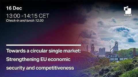 Towards a circular single market: Strengthening EU economic security and competitiveness