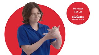 Creating a Hamster Haven: Habitat Setup and Safety by PetSmart 84 views 3 weeks ago 2 minutes