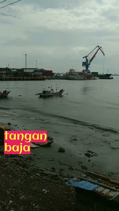#semua #viral #pelabuhan #dermaga