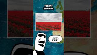 Guess The Country Flag From Its Shape In Nature