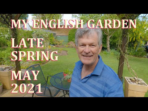 Video: Spirea Bush Transplanting - Tipps zum Bewegen eines Spirea-Strauchs im Garten