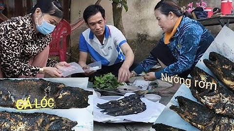 Cá lóc đồng , đặt lú ao sông nước lục bình nướng rơm#Nam Hau Giang.