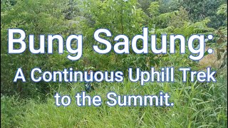 Sarawak Adventures, Ep. 77: Bung Sadung - A Continuous Uphill Trek To The Summit.