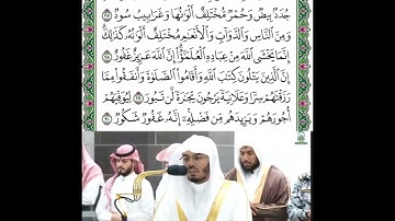 سورة فاطر من الاية رقم (٢٧) الى الاية رقم (٣٧) قراءة الشيخ ياسر الدوسري