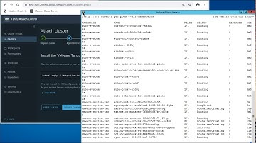 VMware Tanzu Mission Control to Deploy / Attach Kubernetes Clusters