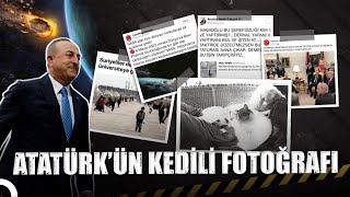 Bize Yalan Söylediler - Asteroit, Dinleme Cihazı, Çavuşoğlu, Atatürk’ün Kedili Fotoğrafı