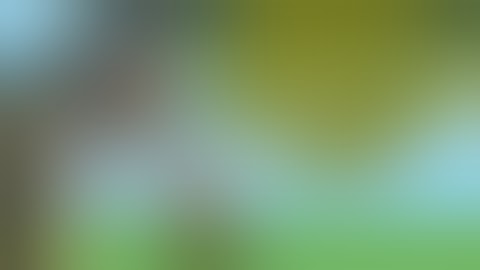 Zerando Pirates Of The Seven Seas (EMULADOR DE JAVA PARA ANDROID)