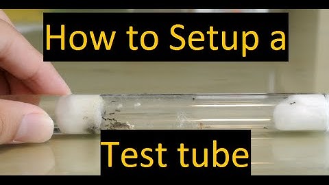 How to setup a test tube for your ant queen