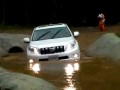 LCプラド150_3 / Swimming Lexus