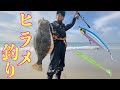 【遠州サーフ】ヒラメは波打ち際で釣れる